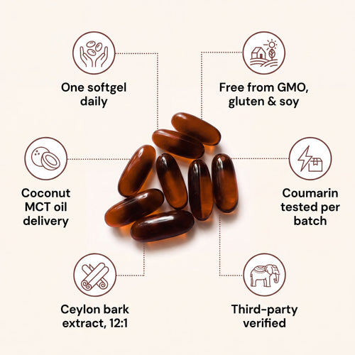 Ceylon Cinnamon 7200mg equivalent with MCT Oil